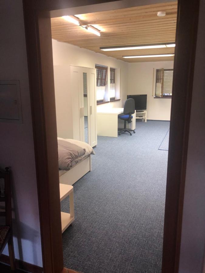 1-Zimmer Apartment, 45 Qm, Im Weinort Neustadt-Duttweiler Neustadt an der Weinstraße Zewnętrze zdjęcie