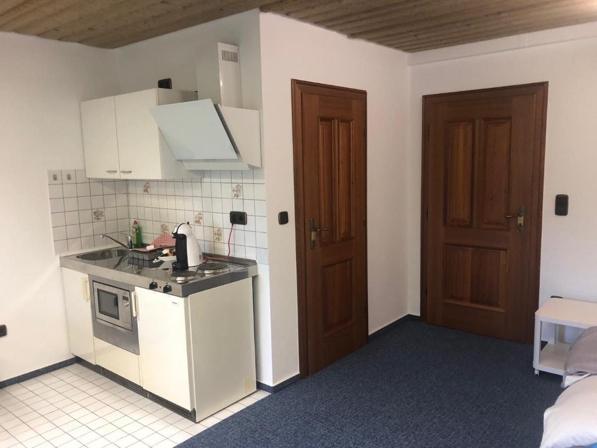 1-Zimmer Apartment, 45 Qm, Im Weinort Neustadt-Duttweiler Neustadt an der Weinstraße Zewnętrze zdjęcie