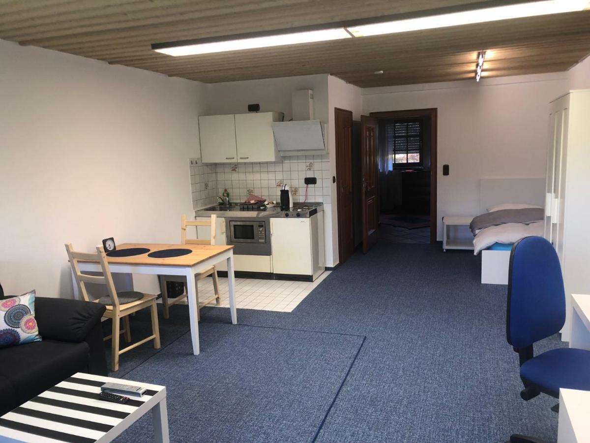 1-Zimmer Apartment, 45 Qm, Im Weinort Neustadt-Duttweiler Neustadt an der Weinstraße Zewnętrze zdjęcie