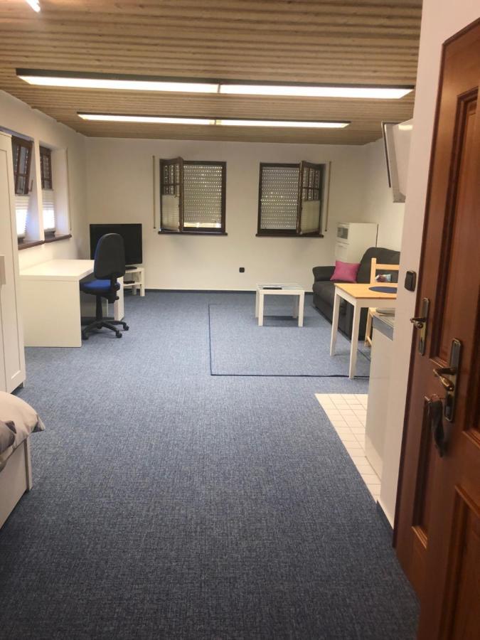 1-Zimmer Apartment, 45 Qm, Im Weinort Neustadt-Duttweiler Neustadt an der Weinstraße Zewnętrze zdjęcie