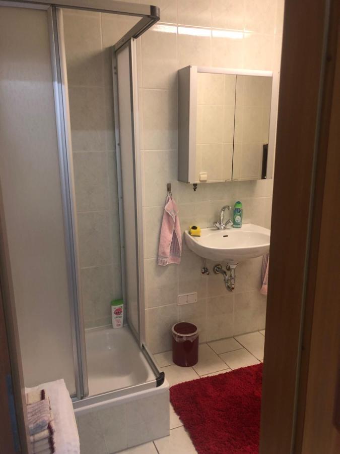 1-Zimmer Apartment, 45 Qm, Im Weinort Neustadt-Duttweiler Neustadt an der Weinstraße Zewnętrze zdjęcie