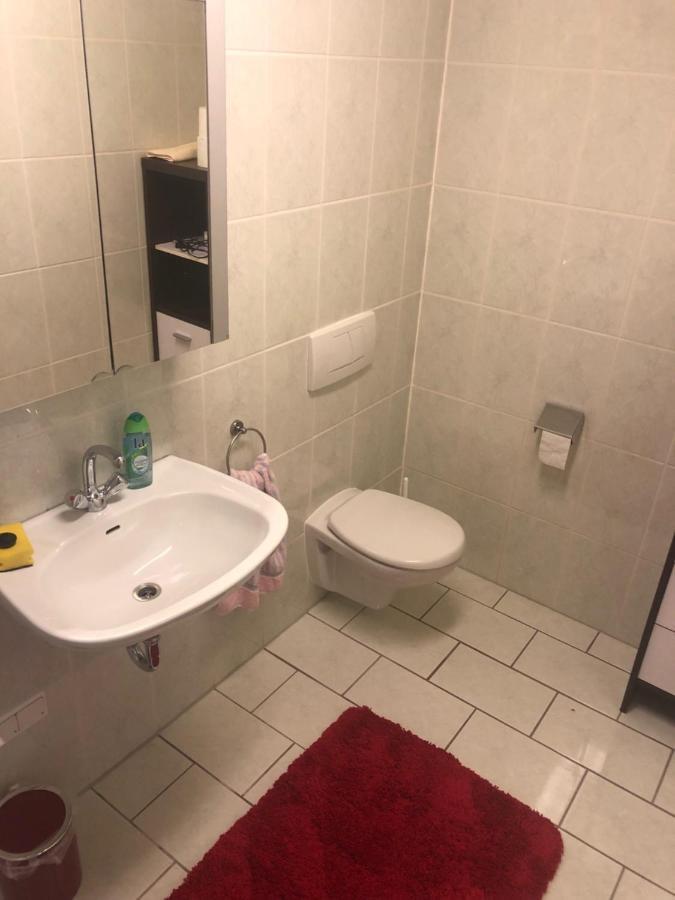 1-Zimmer Apartment, 45 Qm, Im Weinort Neustadt-Duttweiler Neustadt an der Weinstraße Zewnętrze zdjęcie